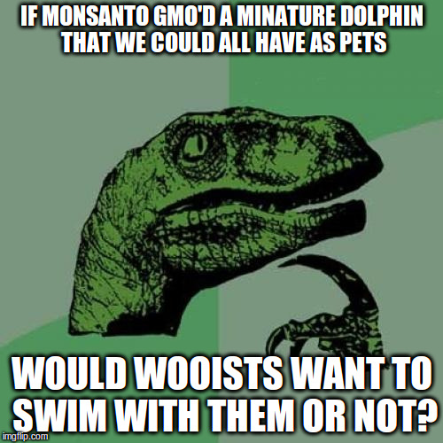 Philosoraptor Meme | IF MONSANTO GMO'D A MINATURE DOLPHIN THAT WE COULD ALL HAVE AS PETS; WOULD WOOISTS WANT TO SWIM WITH THEM OR NOT? | image tagged in memes,philosoraptor | made w/ Imgflip meme maker