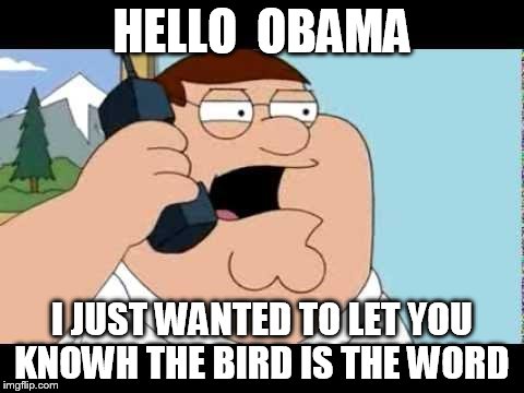 Family Guy Taken Parody | HELLO  OBAMA; I JUST WANTED TO LET YOU KNOWH THE BIRD IS THE WORD | image tagged in family guy taken parody | made w/ Imgflip meme maker