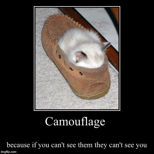 Camouflage | image tagged in funny,demotivationals,demotivational week | made w/ Imgflip demotivational maker