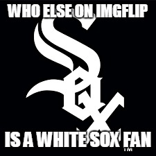 WHO ELSE ON IMGFLIP; IS A WHITE SOX FAN | image tagged in memes,white sox | made w/ Imgflip meme maker