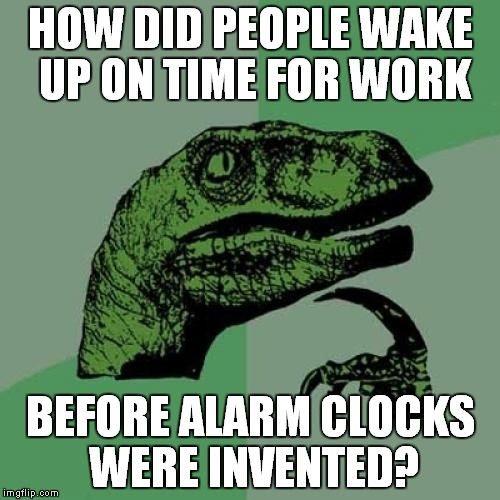 Philosoraptor | HOW DID PEOPLE WAKE UP ON TIME FOR WORK; BEFORE ALARM CLOCKS WERE INVENTED? | image tagged in memes,philosoraptor | made w/ Imgflip meme maker