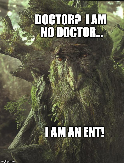LOTR ENT | DOCTOR?  I AM NO DOCTOR... I AM AN ENT! | image tagged in lotr ent | made w/ Imgflip meme maker