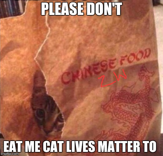 Chinese food | PLEASE DON'T; EAT ME CAT LIVES MATTER TO | image tagged in chinese food | made w/ Imgflip meme maker