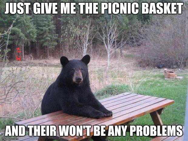 Bear of bad news | JUST GIVE ME THE PICNIC BASKET; AND THEIR WON'T BE ANY PROBLEMS | image tagged in bear of bad news | made w/ Imgflip meme maker