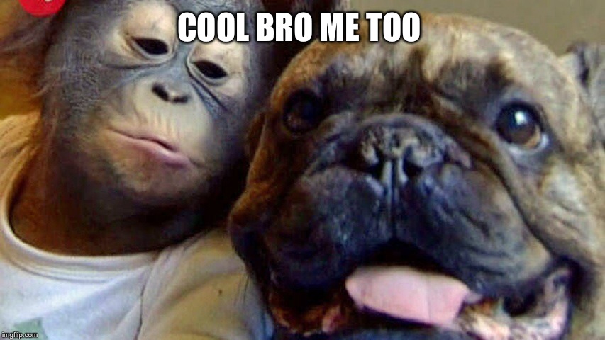 COOL BRO ME TOO | made w/ Imgflip meme maker