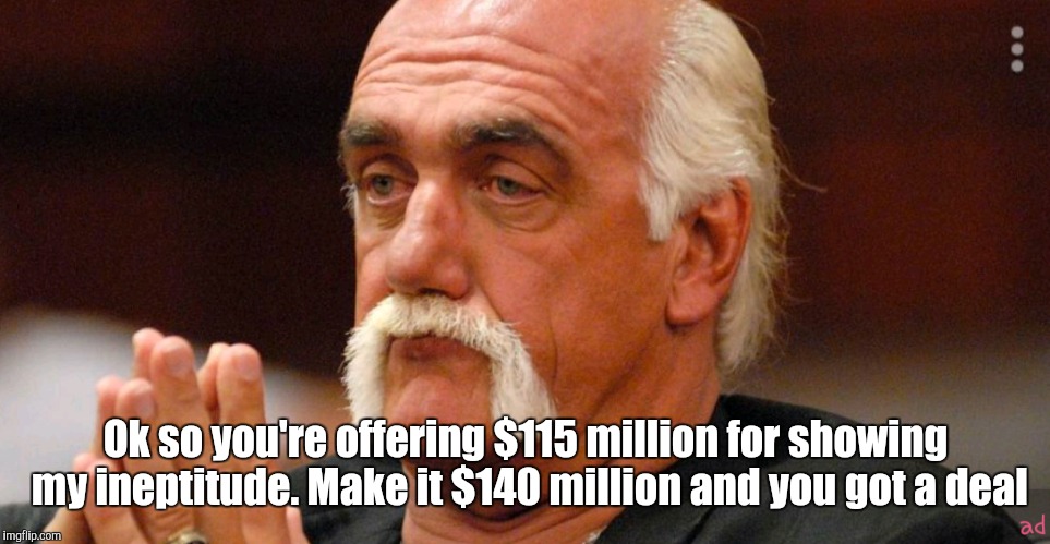 Ok so you're offering $115 million for showing my ineptitude. Make it $140 million and you got a deal | image tagged in hulk hogan,sex tape,scandal,conspiracy theory | made w/ Imgflip meme maker