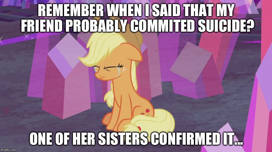 First world problem Applejack | REMEMBER WHEN I SAID THAT MY FRIEND PROBABLY COMMITED SUICIDE? ONE OF HER SISTERS CONFIRMED IT... | image tagged in first world problem applejack | made w/ Imgflip meme maker