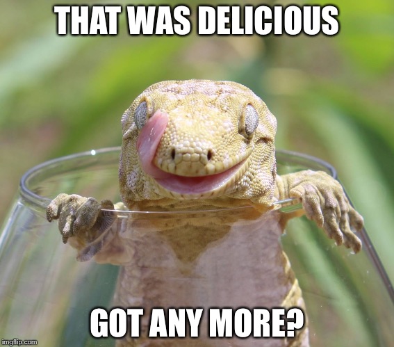 Meanwhile in Florida  | THAT WAS DELICIOUS; GOT ANY MORE? | image tagged in lizard in glass,memes | made w/ Imgflip meme maker