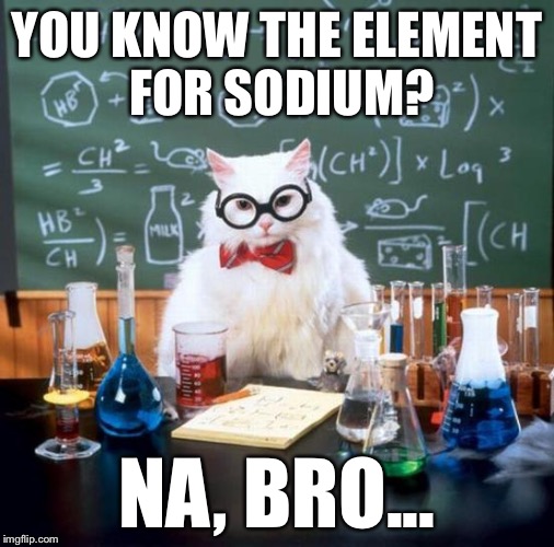 Chemistry Cat | YOU KNOW THE ELEMENT FOR SODIUM? NA, BRO... | image tagged in memes,chemistry cat | made w/ Imgflip meme maker
