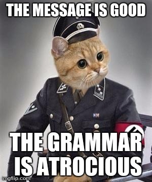 gramer notzi | THE MESSAGE IS GOOD THE GRAMMAR IS ATROCIOUS | image tagged in gramer notzi | made w/ Imgflip meme maker