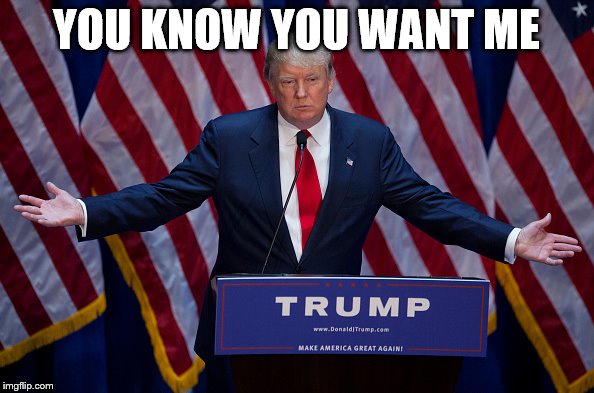 Trump Bruh | YOU KNOW YOU WANT ME | image tagged in trump bruh | made w/ Imgflip meme maker