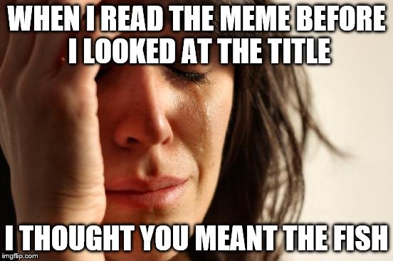 First World Problems Meme | WHEN I READ THE MEME BEFORE I LOOKED AT THE TITLE I THOUGHT YOU MEANT THE FISH | image tagged in memes,first world problems | made w/ Imgflip meme maker