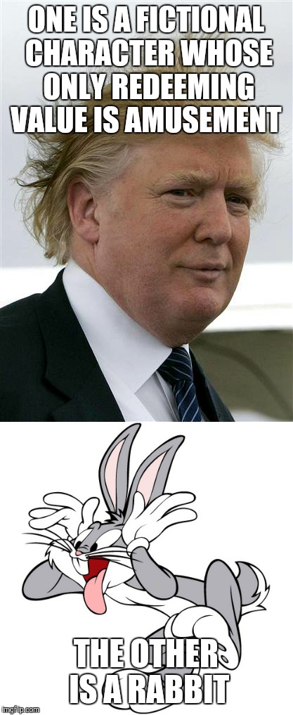ONE IS A FICTIONAL CHARACTER WHOSE ONLY REDEEMING VALUE IS AMUSEMENT THE OTHER IS A RABBIT | made w/ Imgflip meme maker