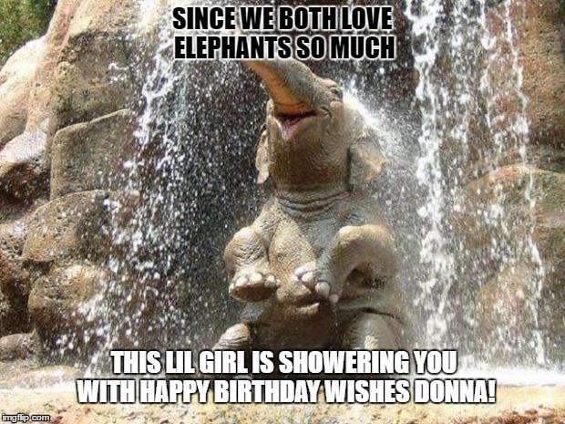 Baby elephant | SINCE WE BOTH LOVE ELEPHANTS SO MUCH; THIS LIL GIRL IS SHOWERING YOU WITH HAPPY BIRTHDAY WISHES DONNA! | image tagged in baby elephant | made w/ Imgflip meme maker
