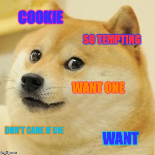 Doge | COOKIE; SO TEMPTING; WANT ONE; DON'T CARE IF DIE; WANT | image tagged in memes,doge | made w/ Imgflip meme maker