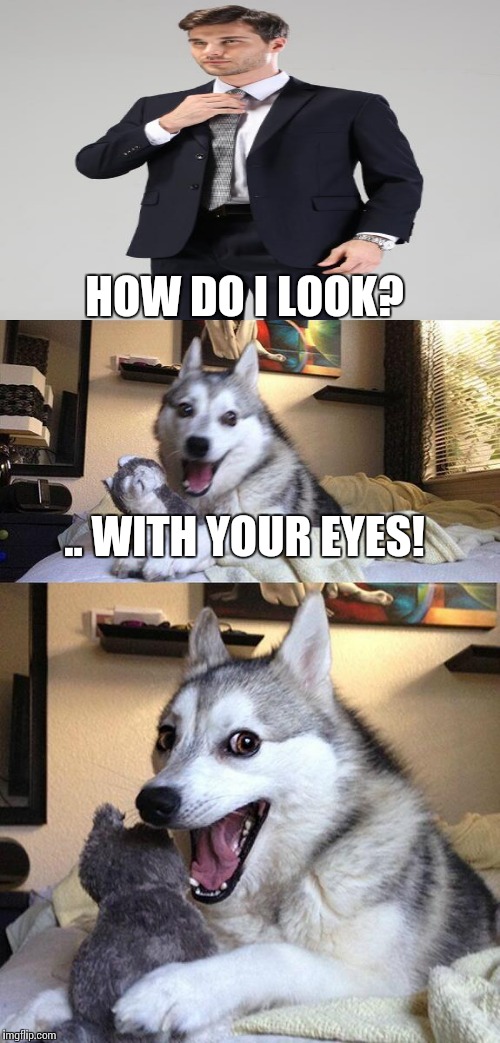 Dressing by Dog | HOW DO I LOOK? .. WITH YOUR EYES! | image tagged in memes,bad pun dog,clothing | made w/ Imgflip meme maker