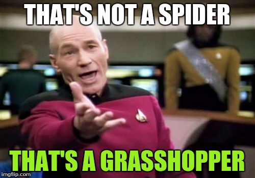Picard Wtf Meme | THAT'S NOT A SPIDER THAT'S A GRASSHOPPER | image tagged in memes,picard wtf | made w/ Imgflip meme maker