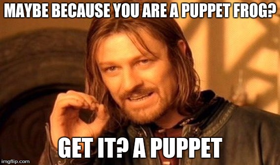 One Does Not Simply Meme | MAYBE BECAUSE YOU ARE A PUPPET FROG? GET IT? A PUPPET | image tagged in memes,one does not simply | made w/ Imgflip meme maker