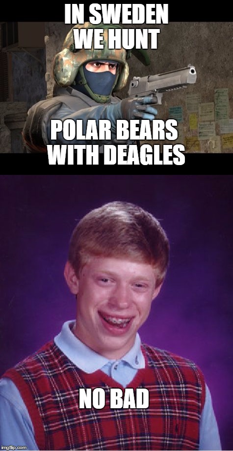 CS | IN SWEDEN WE HUNT; POLAR BEARS WITH DEAGLES; NO BAD | image tagged in polar bear | made w/ Imgflip meme maker