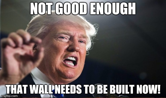 NOT GOOD ENOUGH THAT WALL NEEDS TO BE BUILT NOW! | made w/ Imgflip meme maker