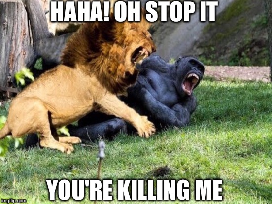 HAHA! OH STOP IT YOU'RE KILLING ME | made w/ Imgflip meme maker