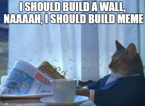 I Should Buy A Boat Cat Meme | I SHOULD BUILD A WALL, NAAAAH, I SHOULD BUILD MEME | image tagged in memes,i should buy a boat cat,cats,funny | made w/ Imgflip meme maker