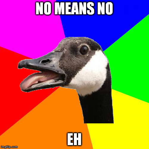 Meanwhile in Canada | NO MEANS NO; EH | image tagged in sexy canadian goose,never flying north again,wtf canada | made w/ Imgflip meme maker