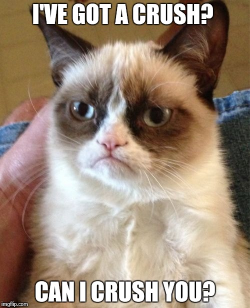Grumpy Cat Meme | I'VE GOT A CRUSH? CAN I CRUSH YOU? | image tagged in memes,grumpy cat | made w/ Imgflip meme maker