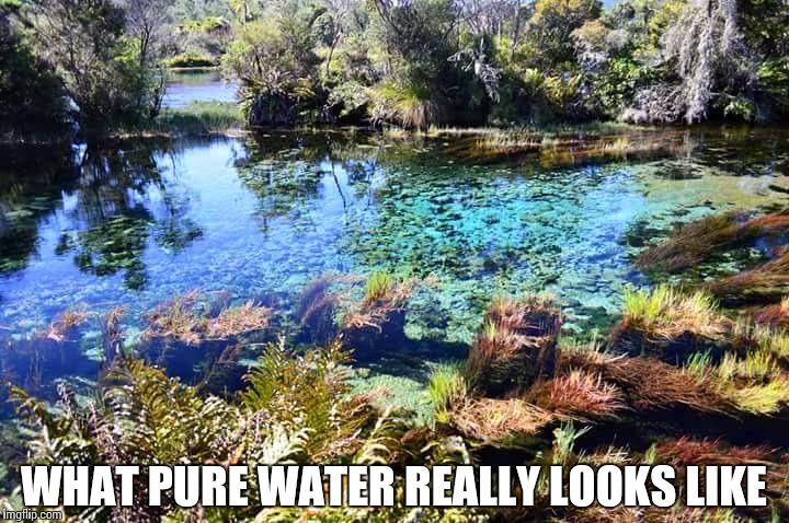 WHAT PURE WATER REALLY LOOKS LIKE | made w/ Imgflip meme maker