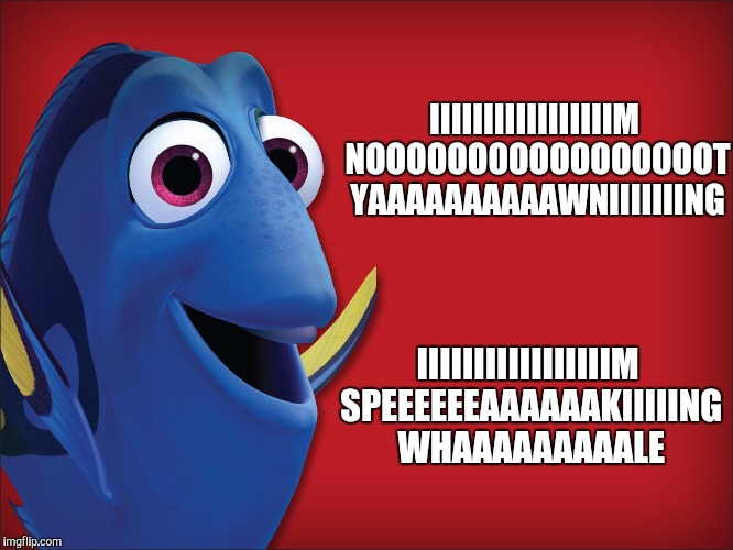 Happy speak like a whale day | IIIIIIIIIIIIIIIIIM NOOOOOOOOOOOOOOOOOT YAAAAAAAAAAWNIIIIIIING; IIIIIIIIIIIIIIIIIM SPEEEEEEAAAAAAKIIIIING WHAAAAAAAAALE | image tagged in dory | made w/ Imgflip meme maker