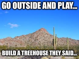 Kids these days | GO OUTSIDE AND PLAY... BUILD A TREEHOUSE THEY SAID... | image tagged in desert | made w/ Imgflip meme maker