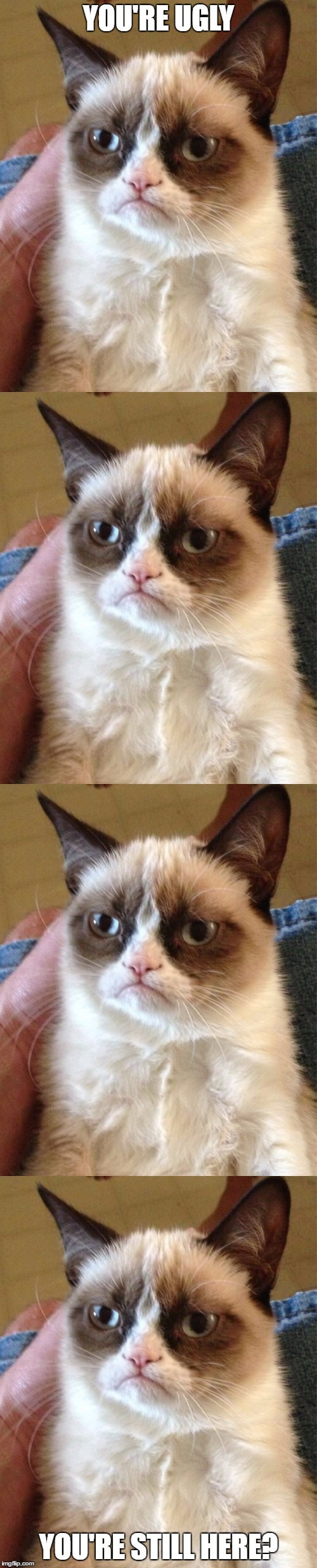 YOU'RE UGLY; YOU'RE STILL HERE? | image tagged in memes,grumpy cat you're ugly | made w/ Imgflip meme maker