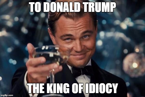 Leonardo Dicaprio Cheers | TO DONALD TRUMP; THE KING OF IDIOCY | image tagged in memes,leonardo dicaprio cheers | made w/ Imgflip meme maker
