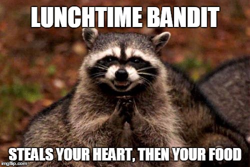 Evil Plotting Raccoon | LUNCHTIME BANDIT; STEALS YOUR HEART, THEN YOUR FOOD | image tagged in memes,evil plotting raccoon | made w/ Imgflip meme maker