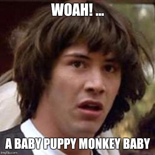 Conspiracy Keanu Meme | WOAH! ... A BABY PUPPY MONKEY BABY | image tagged in memes,conspiracy keanu | made w/ Imgflip meme maker