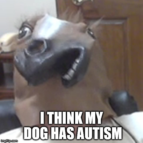 I THINK MY DOG HAS AUTISM | image tagged in dog autism | made w/ Imgflip meme maker