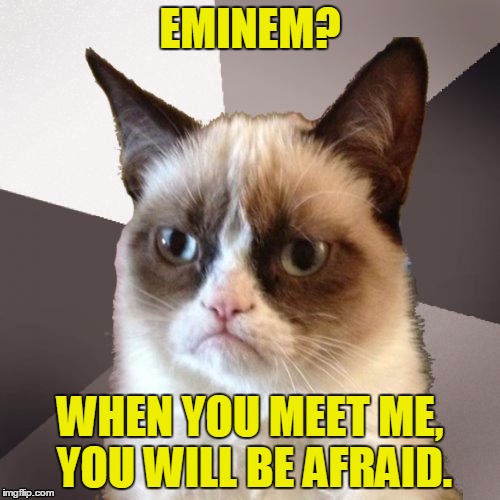 Musically Malicious Grumpy Cat | EMINEM? WHEN YOU MEET ME, YOU WILL BE AFRAID. | image tagged in musically malicious grumpy cat,memes,eminem,not afraid,song lyrics,music | made w/ Imgflip meme maker