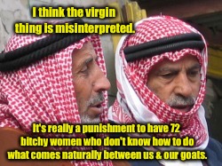 I think the virgin thing is misinterpreted. It's really a punishment to have 72 b**chy women who don't know how to do what comes naturally b | made w/ Imgflip meme maker