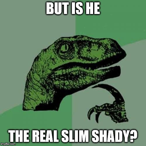 Philosoraptor Meme | BUT IS HE THE REAL SLIM SHADY? | image tagged in memes,philosoraptor | made w/ Imgflip meme maker