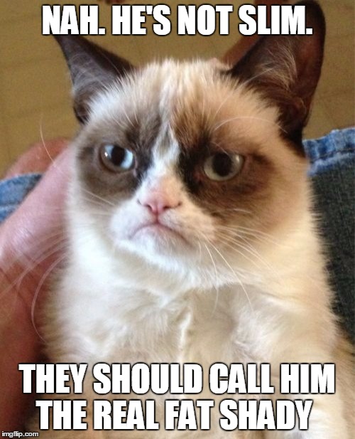 Grumpy Cat Meme | NAH. HE'S NOT SLIM. THEY SHOULD CALL HIM THE REAL FAT SHADY | image tagged in memes,grumpy cat | made w/ Imgflip meme maker