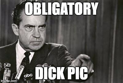 Richard Nixon |  OBLIGATORY; DICK PIC | image tagged in richard nixon | made w/ Imgflip meme maker