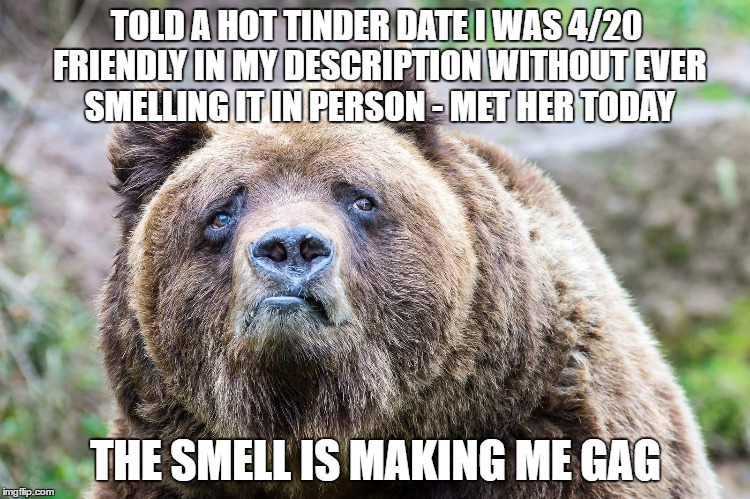 TOLD A HOT TINDER DATE I WAS 4/20 FRIENDLY IN MY DESCRIPTION WITHOUT EVER SMELLING IT IN PERSON - MET HER TODAY; THE SMELL IS MAKING ME GAG | image tagged in sad confession bear,AdviceAnimals | made w/ Imgflip meme maker