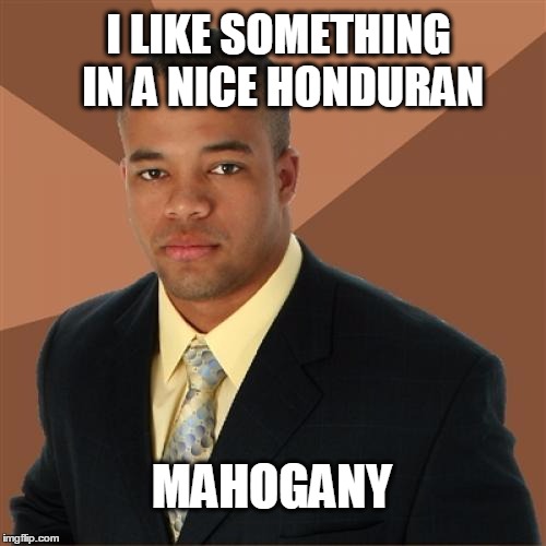 Successful Black Man Meme | I LIKE SOMETHING IN A NICE HONDURAN; MAHOGANY | image tagged in memes,successful black man,wood | made w/ Imgflip meme maker