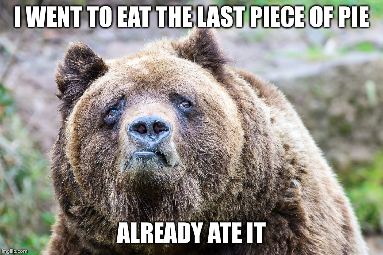 I WENT TO EAT THE LAST PIECE OF PIE; ALREADY ATE IT | image tagged in bad news bear,AdviceAnimals | made w/ Imgflip meme maker