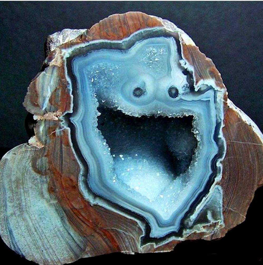 High Quality Cookie Monster geode Blank Meme Template