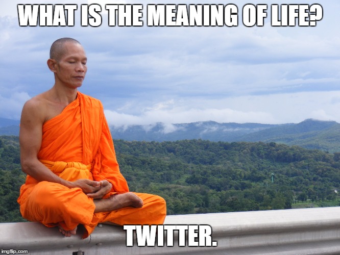 Meaning of life Monk | WHAT IS THE MEANING OF LIFE? TWITTER. | image tagged in meaning of life monk | made w/ Imgflip meme maker