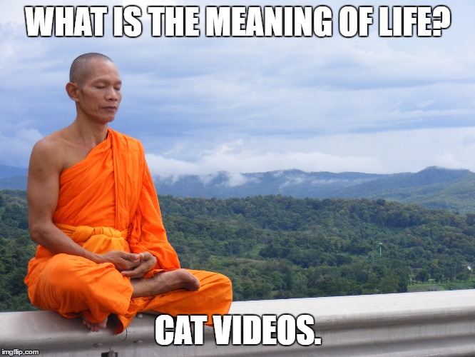 Meaning of life Monk | WHAT IS THE MEANING OF LIFE? CAT VIDEOS. | image tagged in meaning of life monk | made w/ Imgflip meme maker