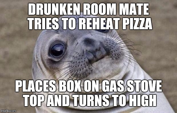 Awkward Moment Sealion Meme | DRUNKEN ROOM MATE TRIES TO REHEAT PIZZA; PLACES BOX ON GAS STOVE TOP AND TURNS TO HIGH | image tagged in memes,awkward moment sealion,AdviceAnimals | made w/ Imgflip meme maker