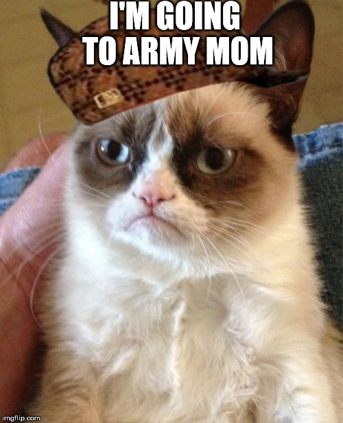 Grumpy Cat Meme | I'M GOING TO ARMY MOM | image tagged in memes,grumpy cat,scumbag | made w/ Imgflip meme maker