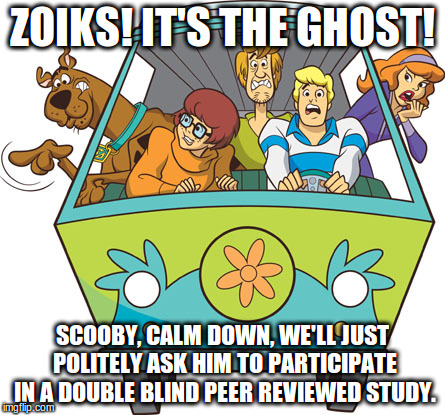 Scooby Doo Meme | ZOIKS! IT'S THE GHOST! SCOOBY, CALM DOWN, WE'LL JUST POLITELY ASK HIM TO PARTICIPATE IN A DOUBLE BLIND PEER REVIEWED STUDY. | image tagged in memes,scooby doo | made w/ Imgflip meme maker